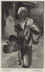 Tyrkiet i Egypten, jul i Cairo